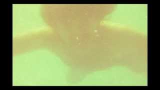 Mars Landing Party (Ram Landing Party)