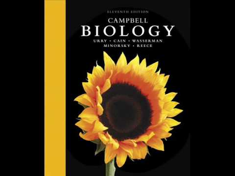 download lagu mp3 mp4 Download Ebook Campbell, download mp3 Download Ebook Campbell free downloadn, video klip Download Ebook Campbell