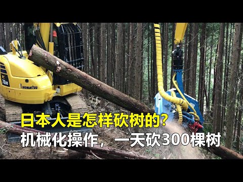 斬樹