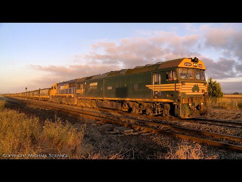 9156 Broad Gauge Pacific National Grain Train (24/12/2021) - PoathTV Australian Railways