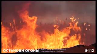 Наша экология зависит от каждого из нас!