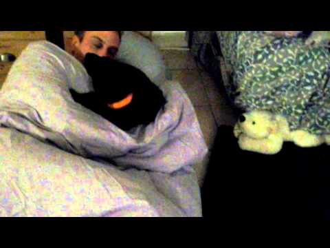 Der erste Morgen mit Chica -   Pastor Mallorquin - Bestiar