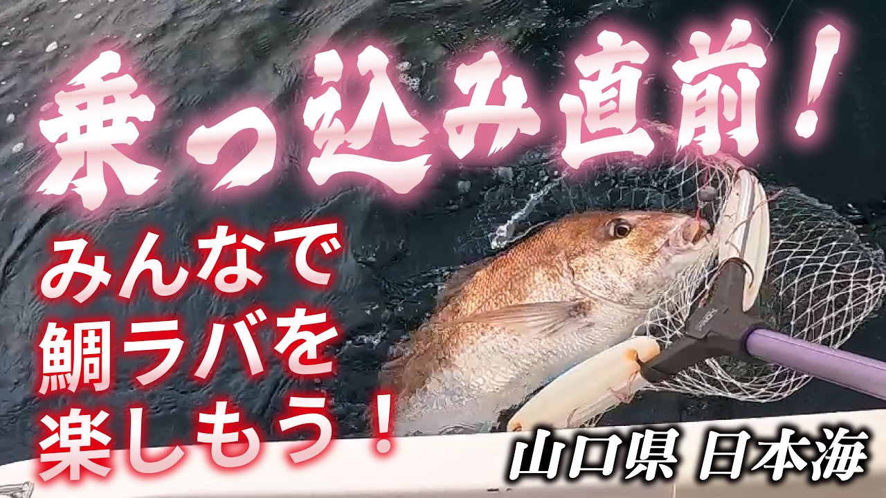 【鯛ラバ】タイラバを楽しもう！2時間でみんなクーラーパンパン！【NEO374・インショアゲーム・ミニボート】山口県/真鯛乗っ込み(ノッコミ)直前SP