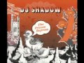 Dj Shadow : Right Thing [Z-Trip 'Get the Party Off Mix' in Three Parts]