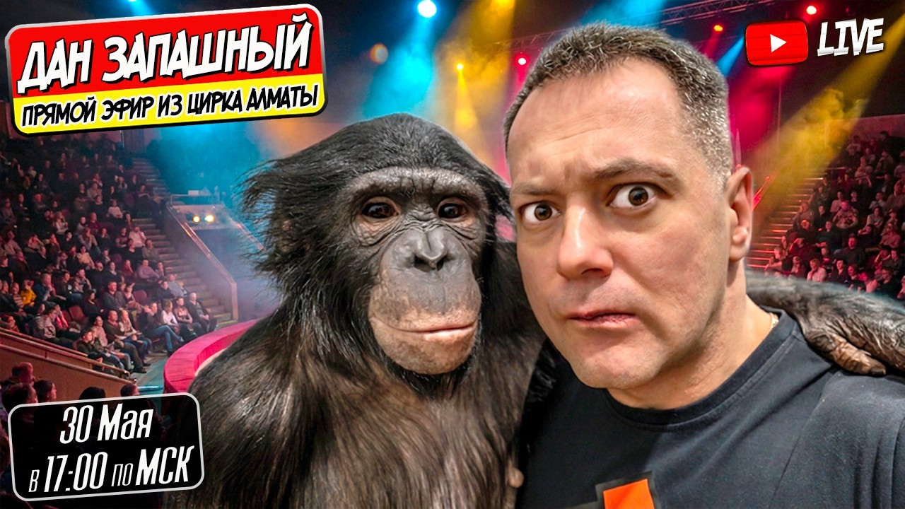 🔴 Итоги Недели с Даном Запашным и Шимпанзе Боней