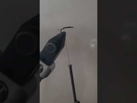 Foam wing emerger simple, quick and super effective