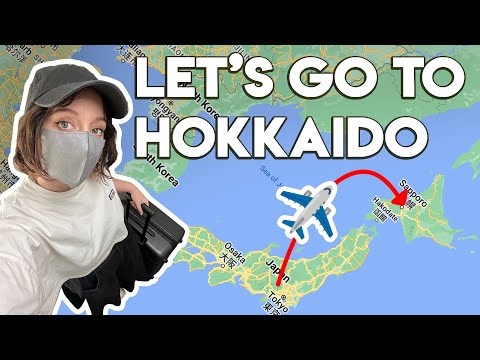 這就是我在日本的工作內容 (This Is ACTUALLY What My Job Is In Japan)