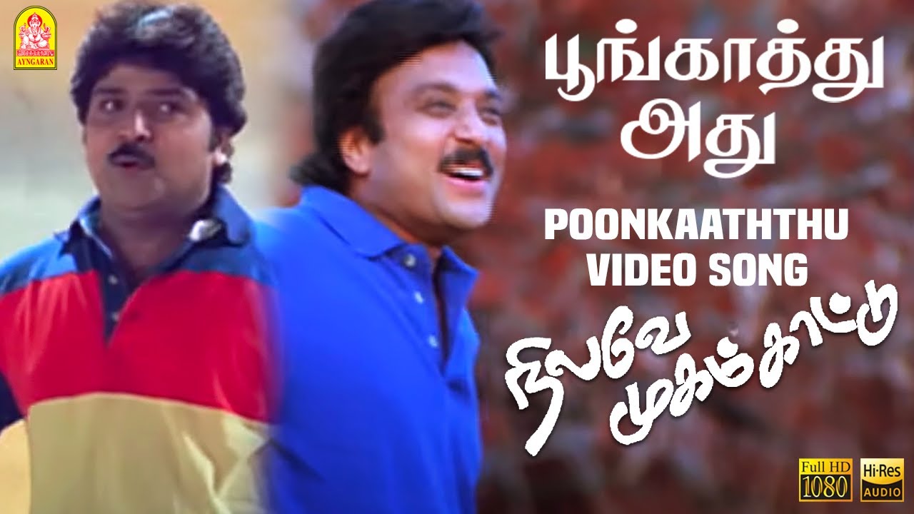 Poonkaathu Adhu Song Lyrics | Nilave Mugam Kaattu | S. P. Balasubrahmanyam, Ilayaraja