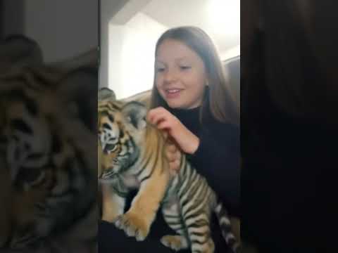 15 de dezembro de 2025