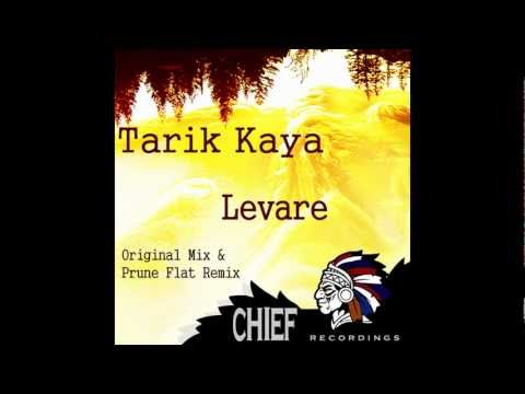 Tarik Kaya - Levare - Original Mix [Chief Recordings].wmv
