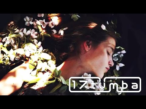 FIVE SUNS - Forgotten