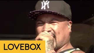 Shapeshifter - Monarch | Lovebox 2014 | FestivoTV