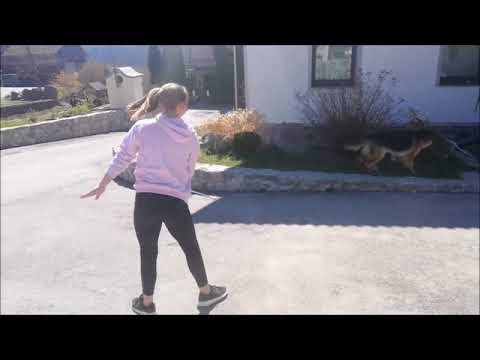 PASS THE BATON - DMP Ribnica