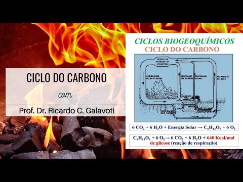 Ciclos Biogeoquímicos - O Ciclo do Carbono e o Efeito Estufa