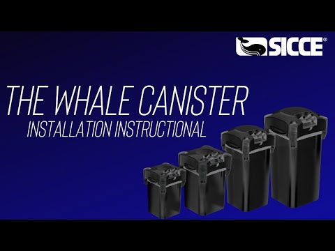 SICCE WHALE CANISTER FILTER | How to Set-Up & Install