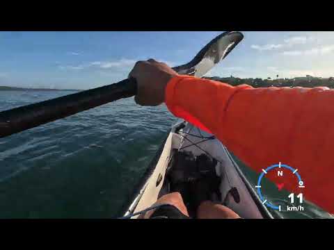 Back to the Fenn Elite surfski!