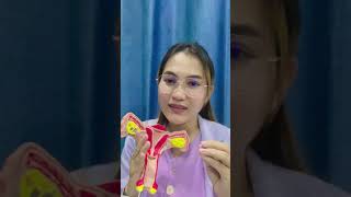 5សញ្ញាបញ្ជាក់ថាស្រ្តីស្រុតស្បូន