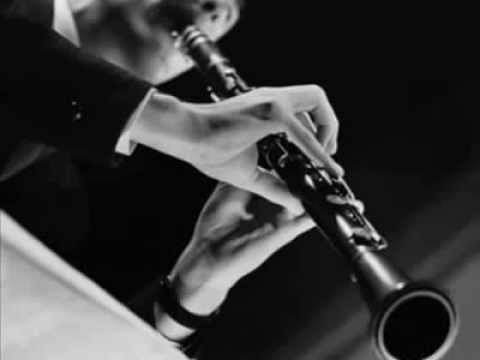 Klarnet Resitali - Hüsnü Şenlendirici Hicaz Taksimi