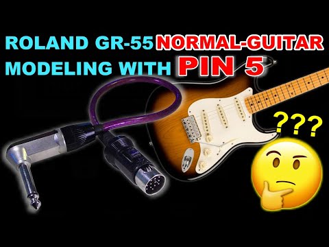 A Roland GR-55 adapter cable PIN-5 enables normal-guitar pickup modeling