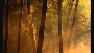 Dan Gibons Solitudes - The Fallen Leaves