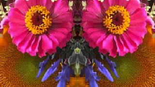 I&#39;m Easy (by Boz Scaggs live in San Francisco 1971)