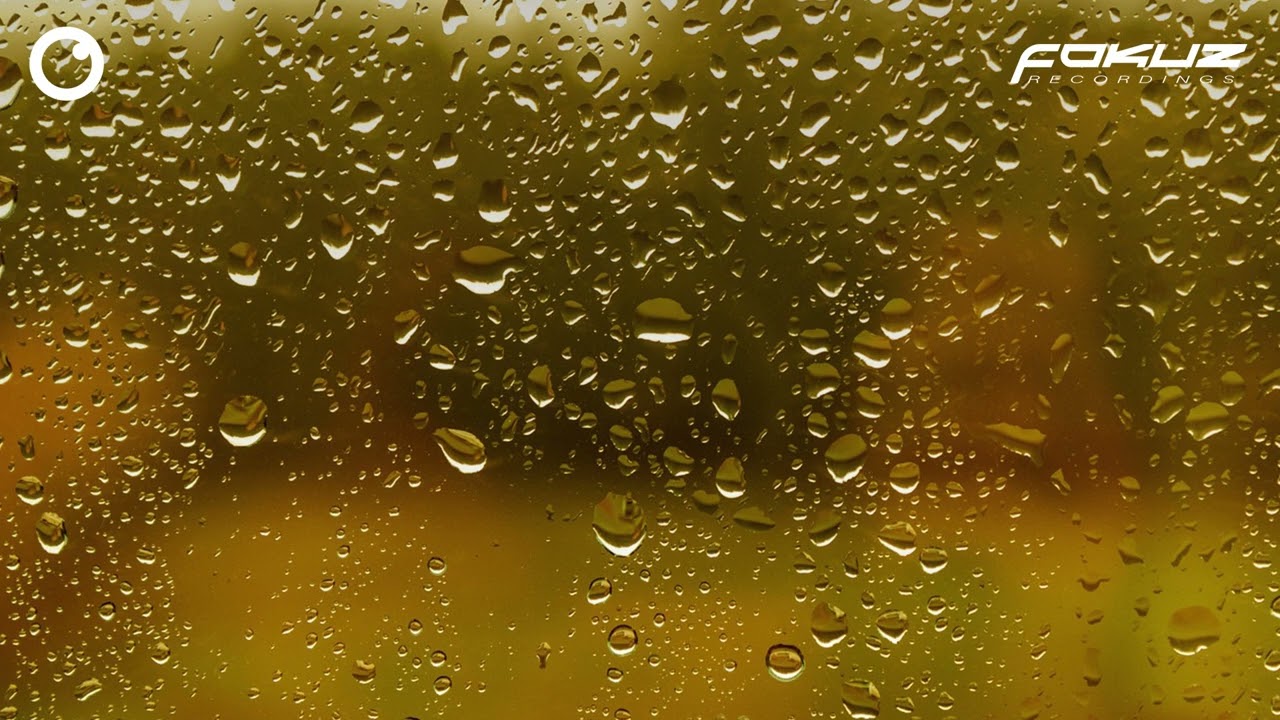 Lian Feldd - Can I Take Your Order