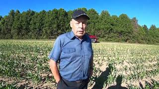 All About Seed Corn Production With Doug Cameron