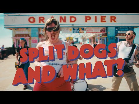 SPLIT DOGS- AND WHAT? (OFFICIAL VIDEO)