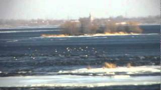 Ah! que l'hiver tarde à passer...