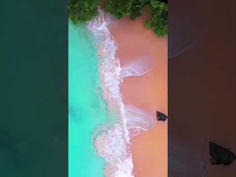 The Paradise of the Crimson Sands