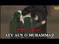 Aey Aun ع O Muhammad A S 5th Muharram Status Mir Hasan Mir Shahadat Hazrat Aun ع O Muhammad ع