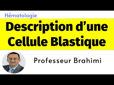 Description d’une Cellule Blastique