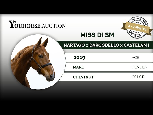 Miss Di SM