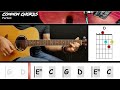 Perfect - Ed Sheeran | GUITAR LESSON | Common Chords