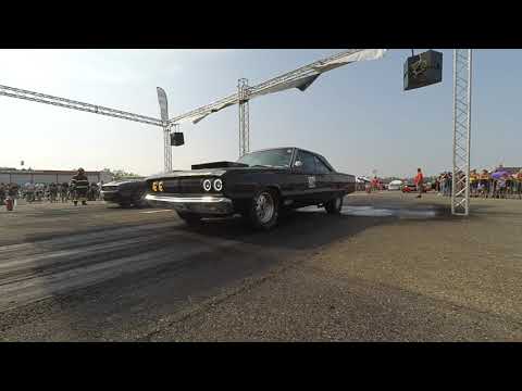 Daniele Albahari Bigg