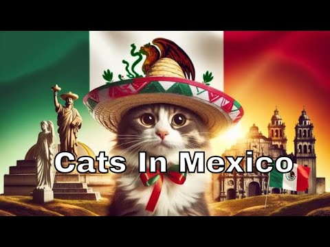 The History Of Cats In Mexico