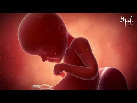 29 Weeks of Pregnancy | Third Trimester | Fetal Stage