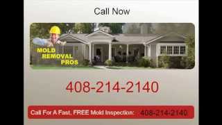 preview picture of video 'Mold Removal Campbell CA - Mold Removal Pros - 408-214-2140'