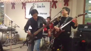 Night Heron Band