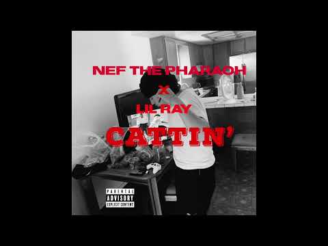 Nef The Pharaoh x Lil Ray - Cattin' (Official Audio)