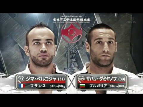 The 11th World tournament KOs Kyokushin karate