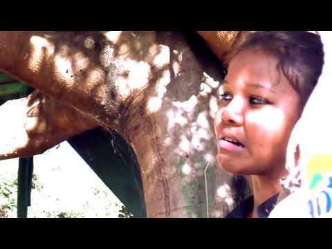 Acromo J   Love Sega