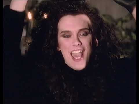 Dead Or Alive Full Evolution 2003 DVD