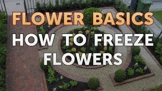 How to Freeze Flowers