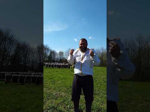 Proljetni pregled pčelinjih zajednica, preporuke, savjeti, uspješno zimovanje, 5.4.2025