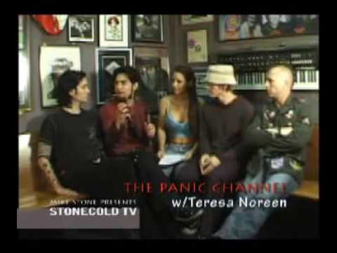 Dave Navarro and The Panic Channel interview