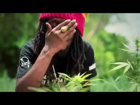 Your High - Rescue Brothers