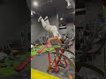 First Time In The Gym So How Did I Do