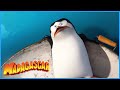 DreamWorks Madagascar Cast Adrift Penguins Of Madagascar Clip