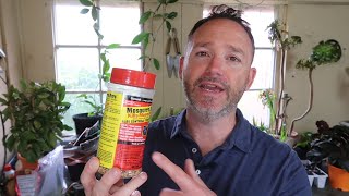 How to Get Rid of Fungus Gnats for Good - Houseplant Hacks